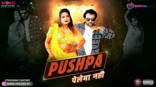 Pushpa Pelega Nahi Episode 1 MoodX Web Series